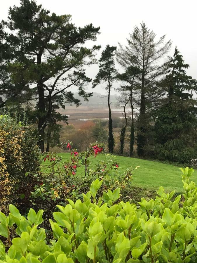 Mick'S Cottage Loughrea ภายนอก รูปภาพ